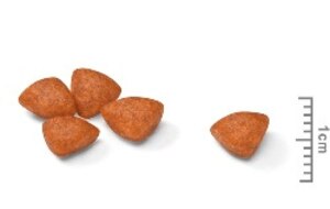 ROYAL CANIN® Mini Starter 8.5kg